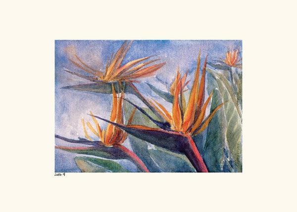 Bird of Paradise Note Card